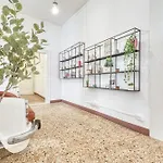 My Rialto - Centro Apartment Venedig